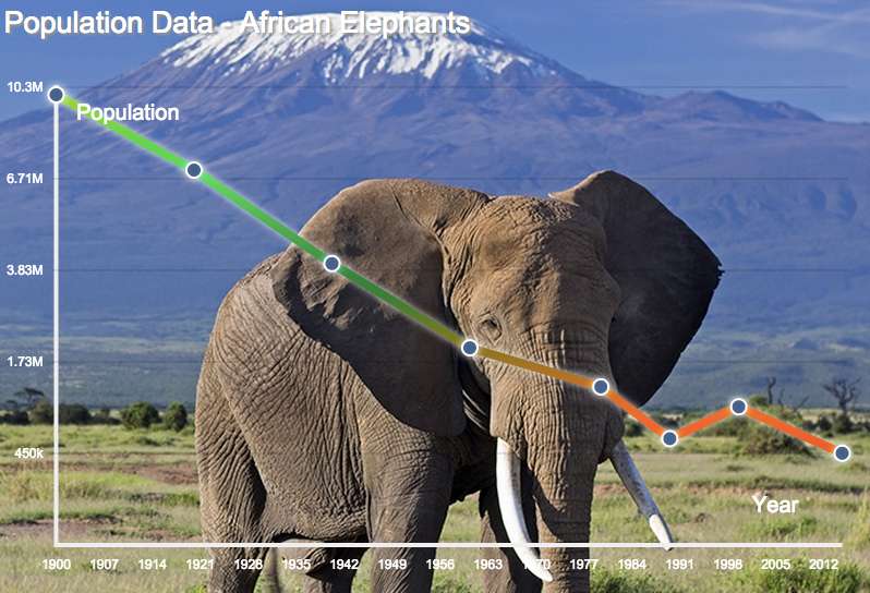 African Elephant Population Graph